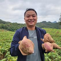 现挖新鲜紫薯10斤蜜薯农家自种小地瓜沙地紫心蜜薯香山芋蔬