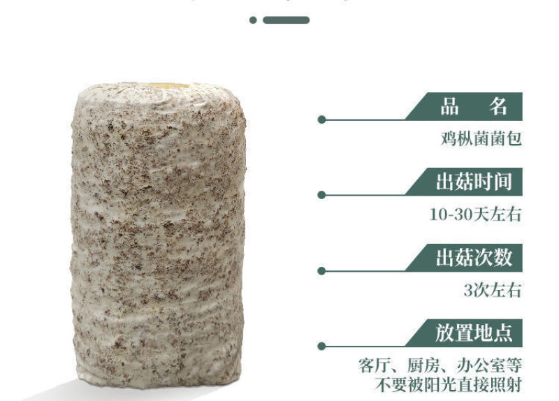 鸡枞菌种子云南特产高产伞把菇荔枝菌三塔菌鸡枞菌包人工种植