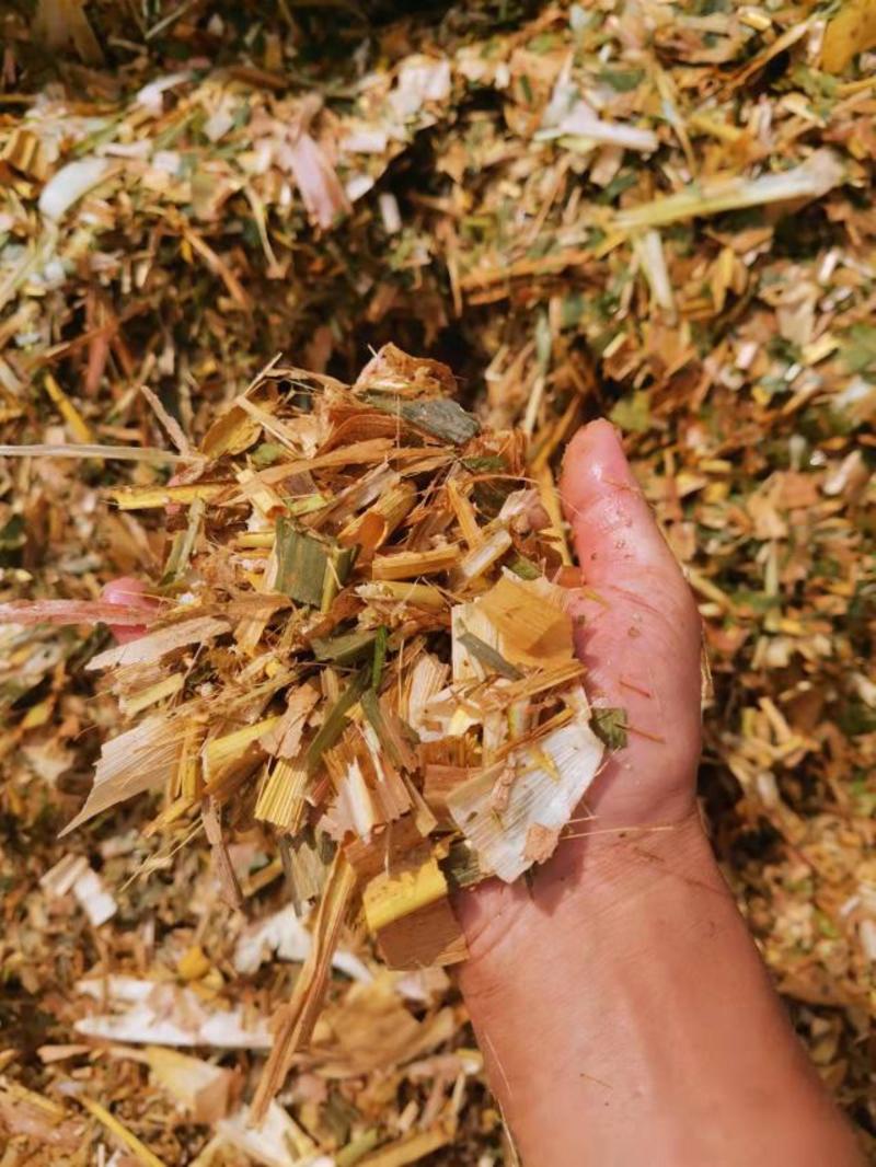 玉米秸秆黄储青储饲料牛羊草料散装全国发货质量保证