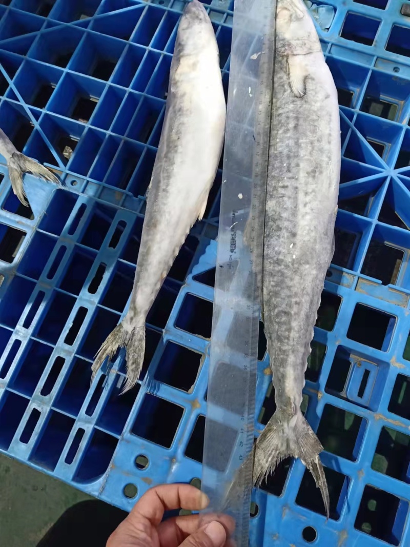 海产品