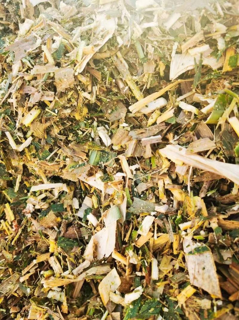 黄储青储饲料玉米秸秆牛羊驴草料散装发酵