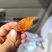 带皮香薯干倒蒸地瓜干带皮地瓜干农家自制软糯红薯干