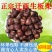 花开四季美，迁西313板栗甜香糯营养高，欢迎进店选购