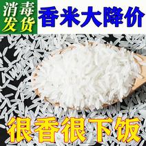 汉中大米长粒香米货源充足量大从优可视频
