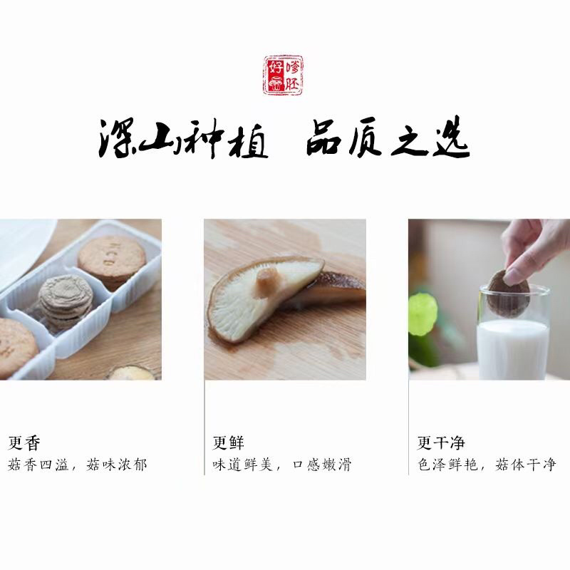 【场地优选】庆元香菇薄菇中国香菇地理标志产