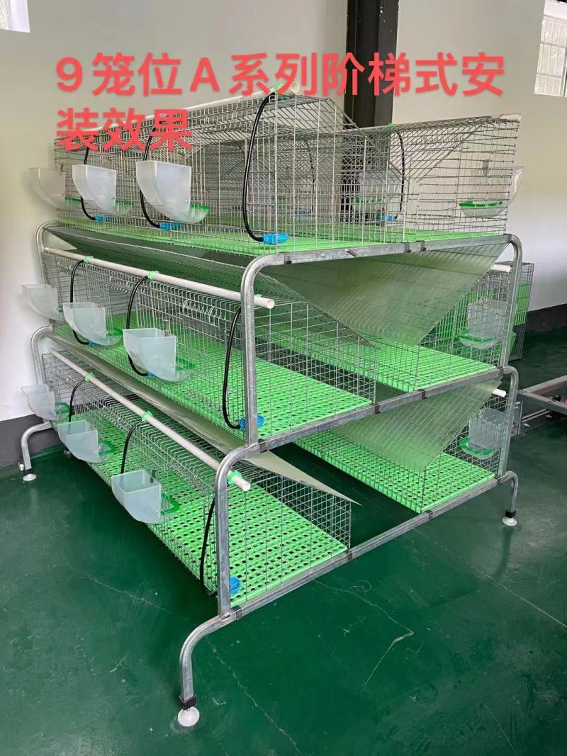 9笼位免清粪兔笼，第一个最主要细节就是高度