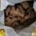 【姜母】大量供应价格便宜大块无杂保证质量