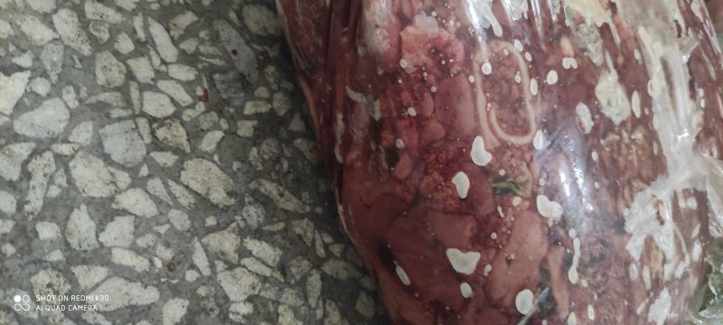 鸡肝，817鸡肝大厂货质量好，价格优，纯干无水，常年供应