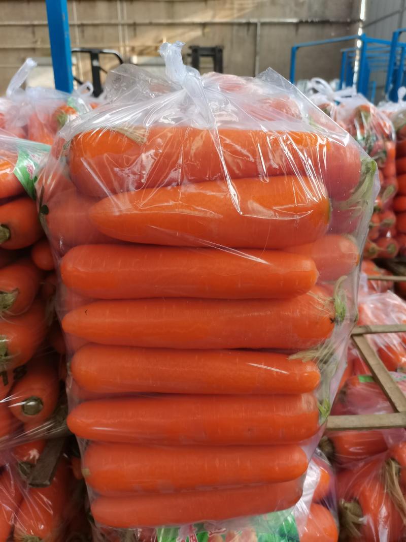 优质水洗三胡萝卜，供应电商市场超市，产地直发，一手货源