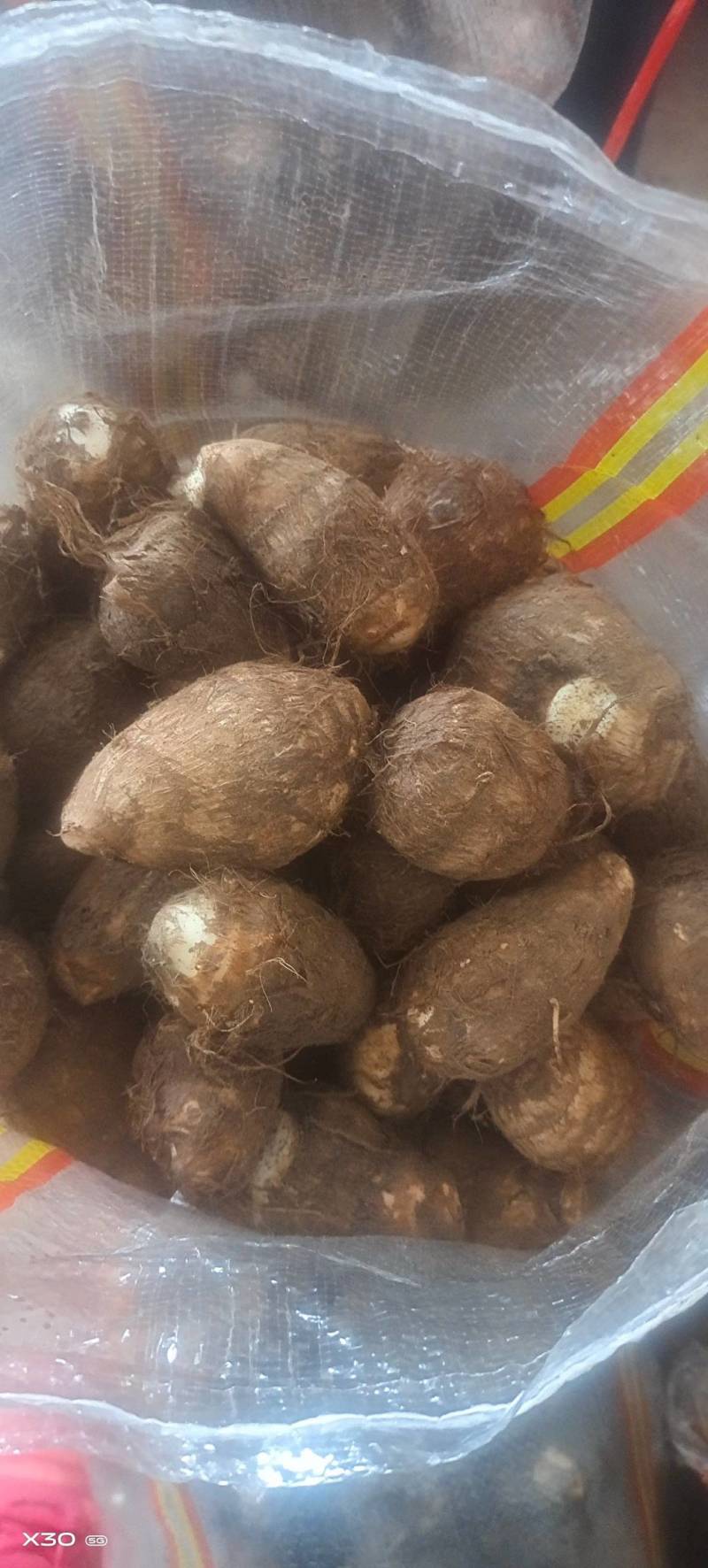 芋头8520.豆包，工人分捡大中小各种规格，好通货都有。