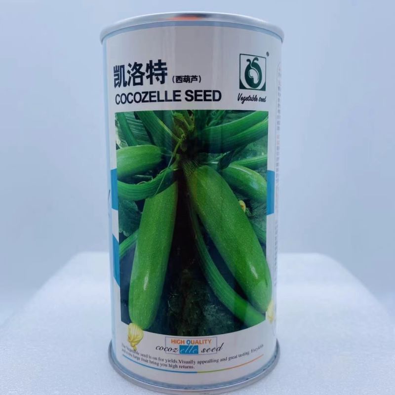 西葫芦种子油绿欣瑞26凯洛特耐寒品种杂交一代种子