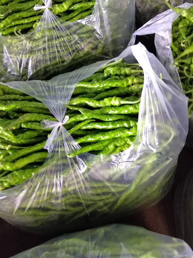 精品螺丝椒，螺丝椒龙椒大量上市！大棚蔬菜上市？欢迎老板联