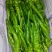 精品螺丝椒，螺丝椒龙椒大量上市！大棚蔬菜上市？欢迎老板联