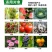 吡唑醚菌酯10克白粉病锈病等真菌性病害