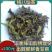 八仙茶惠来高山茶潮汕乌龙茶大坪土山茶汀洋八仙茶诏安八仙茶