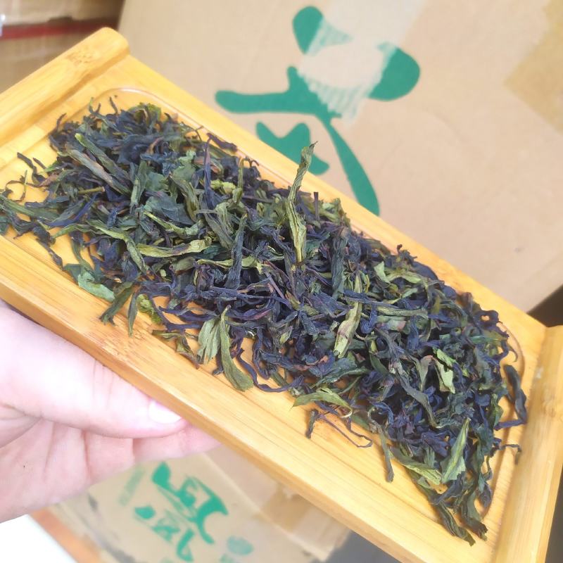八仙茶惠来高山茶潮汕乌龙茶大坪土山茶汀洋八仙茶诏安八仙茶