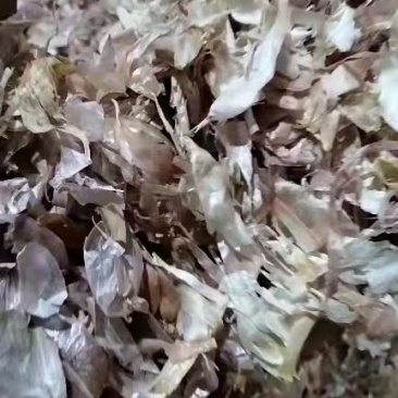 烘干蒜皮，内皮，无土无尘，非常干净，牛羊好饲料