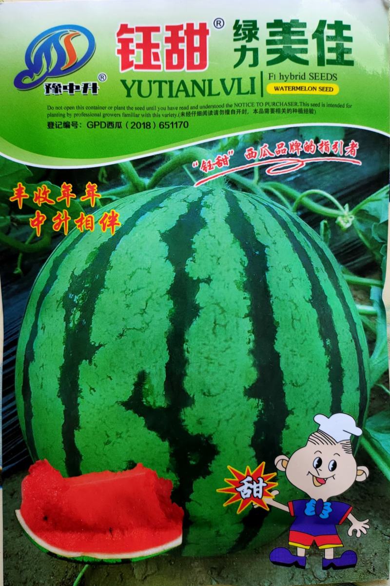 正宗美都西瓜种子美都升级品种美佳西瓜种子大红瓤西瓜种子