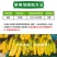 25%吡唑醚菌酯杀菌剂白粉病灰霉病叶枯病霜霉病立枯病