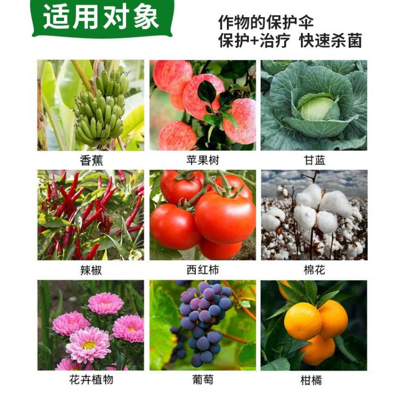 25%吡唑醚菌酯杀菌剂白粉病灰霉病叶枯病霜霉病立枯病