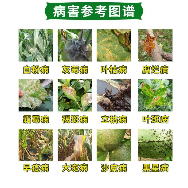 25%吡唑醚菌酯杀菌剂白粉病灰霉病叶枯病霜霉病立枯病