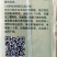 西瓜种子8424西瓜种子麒麟瓜种子小型礼品瓜早熟西瓜种子