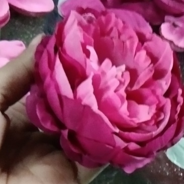 花卉仿真