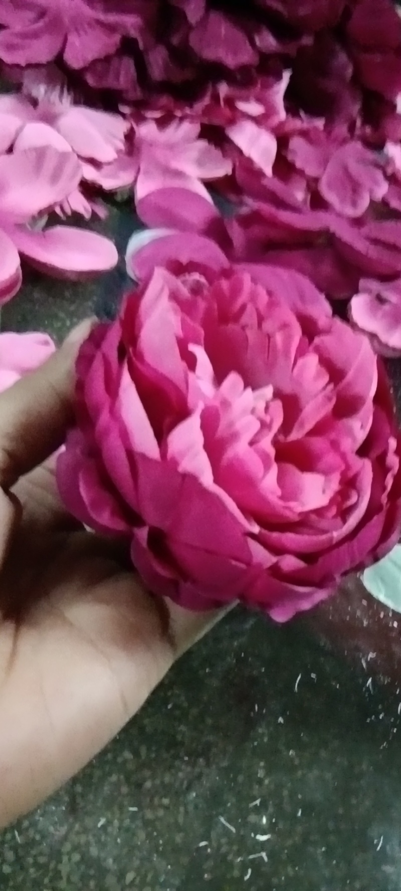 花卉仿真