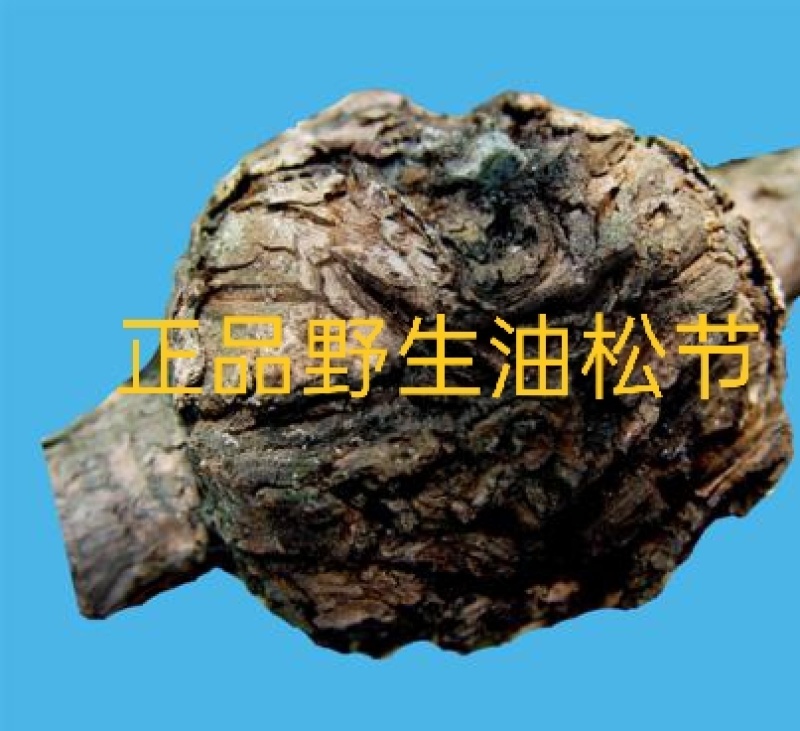 松节，油松节正品质量保证，经营各种中药材欢迎咨询选购