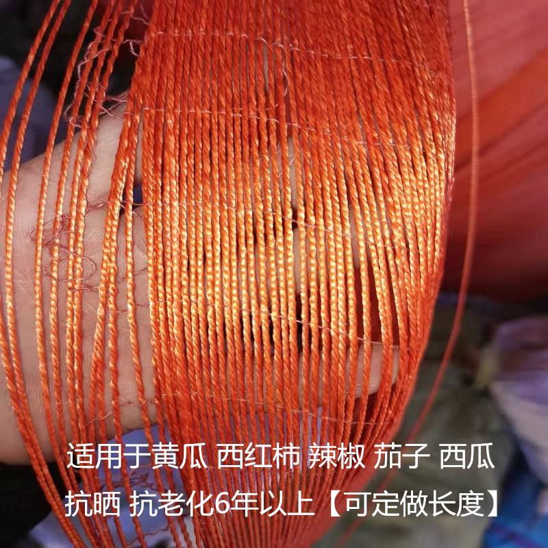 吊秧绳大棚蔬菜吊绳黄瓜吊绳西红柿吊绳辣椒吊绳番茄轮胎吊线