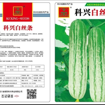 【厂家直销】白丝条黄瓜种子四川绿白黄瓜老品种旱黄瓜