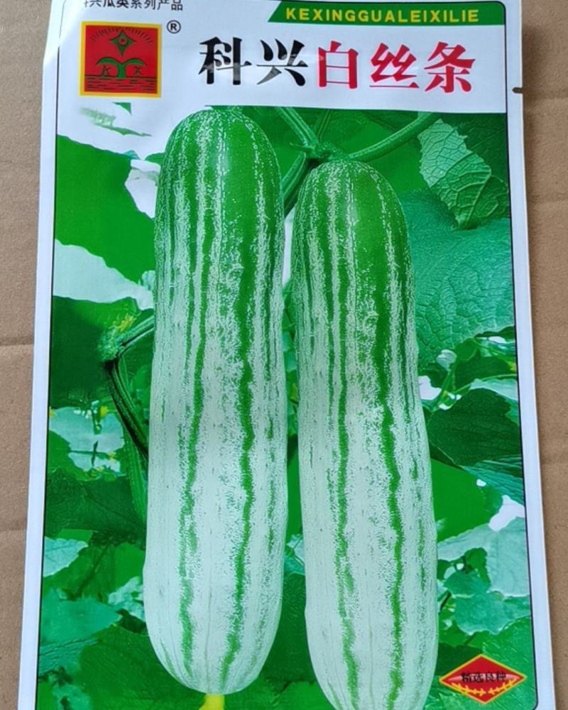 【厂家直销】白丝条黄瓜种子四川绿白黄瓜老品种旱黄瓜