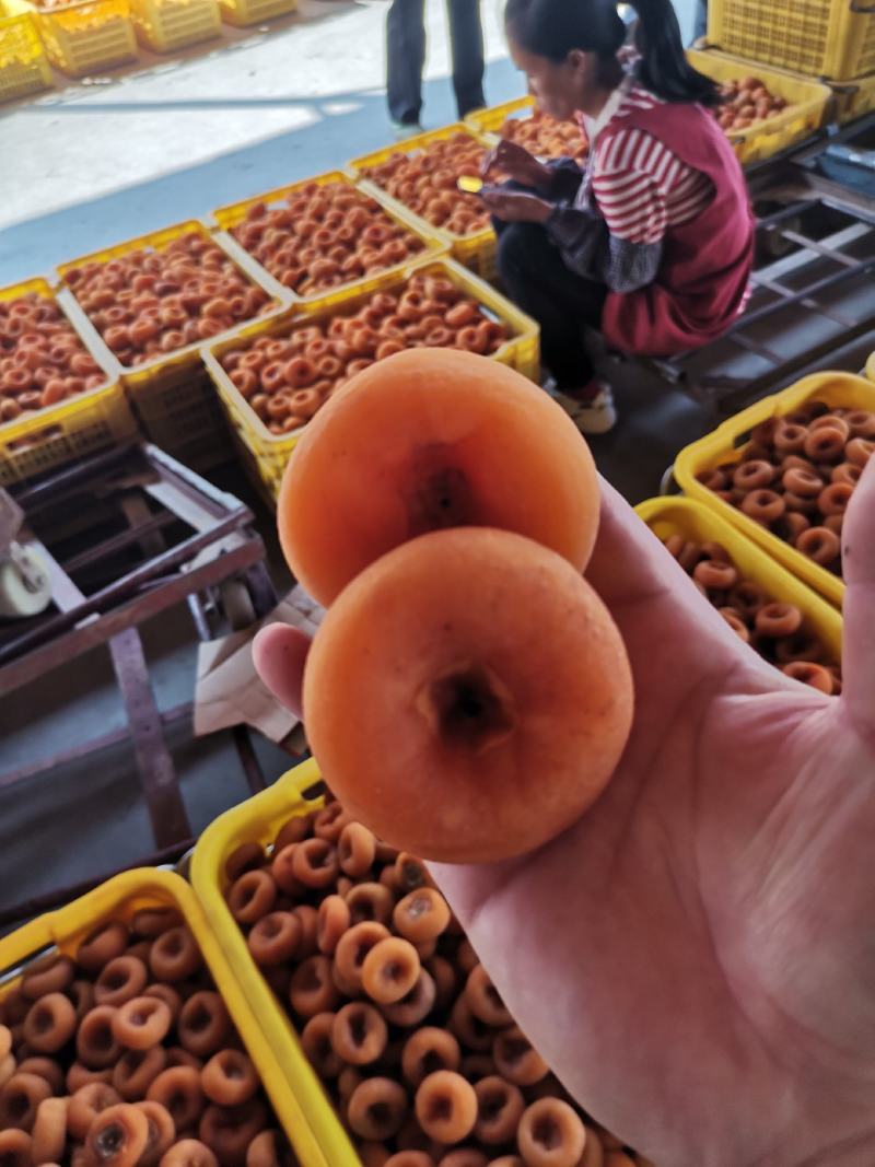 桂林柿饼大量上市，平乐柿饼圆饼吊饼大饼特饼漂亮货柿饼