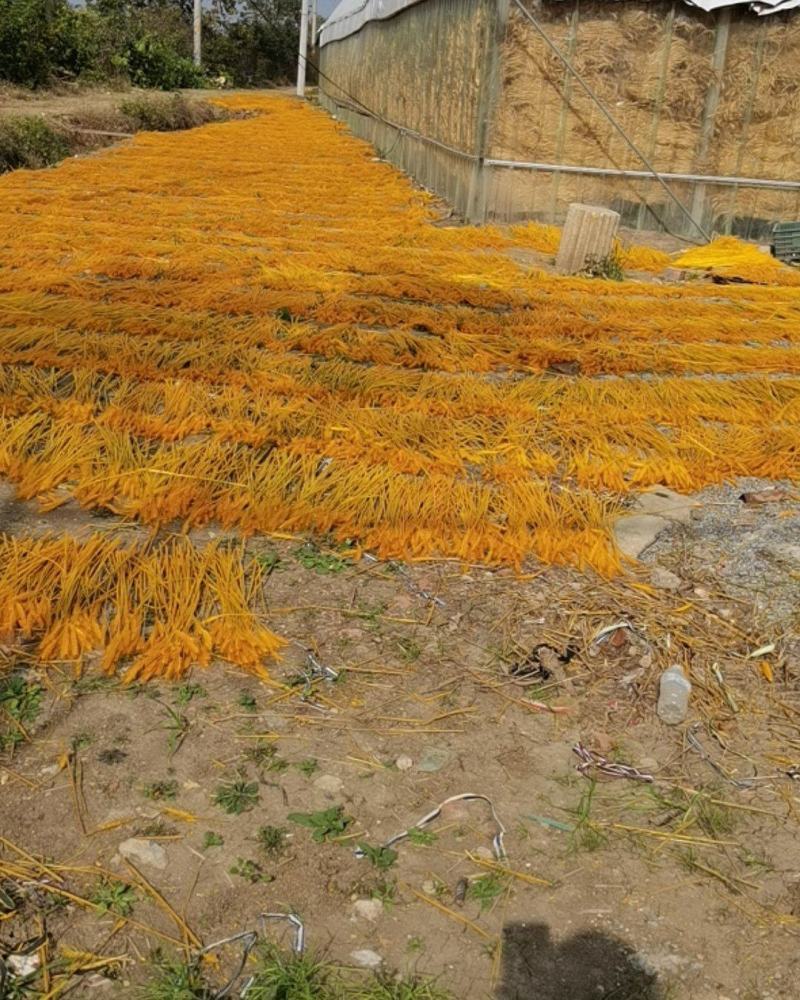 大麦大卖开业大吉大麦基地大麦花篮