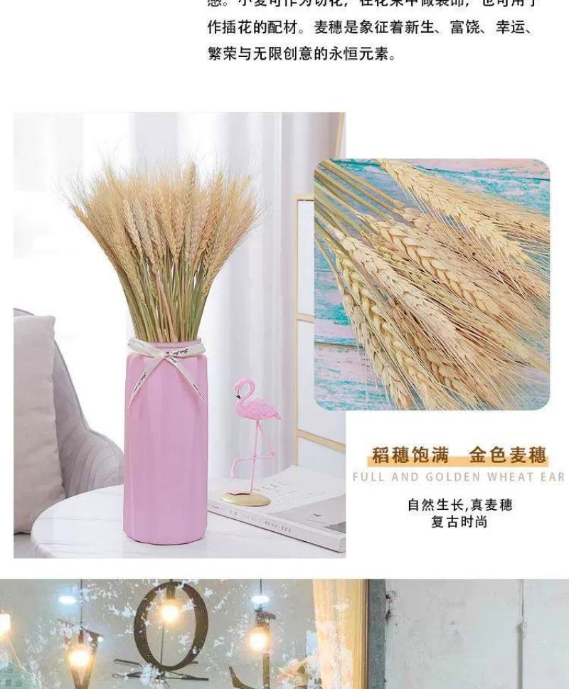 大麦大卖开业大吉大麦基地大麦花篮