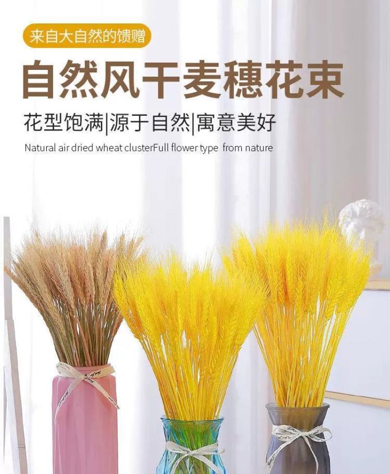 大麦大卖开业大吉大麦基地大麦花篮