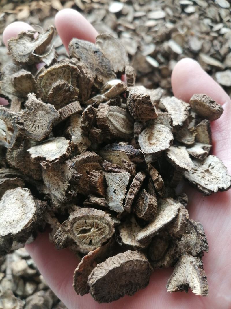 木香中药材木香无硫无添加精挑细选实物图经营各种规格
