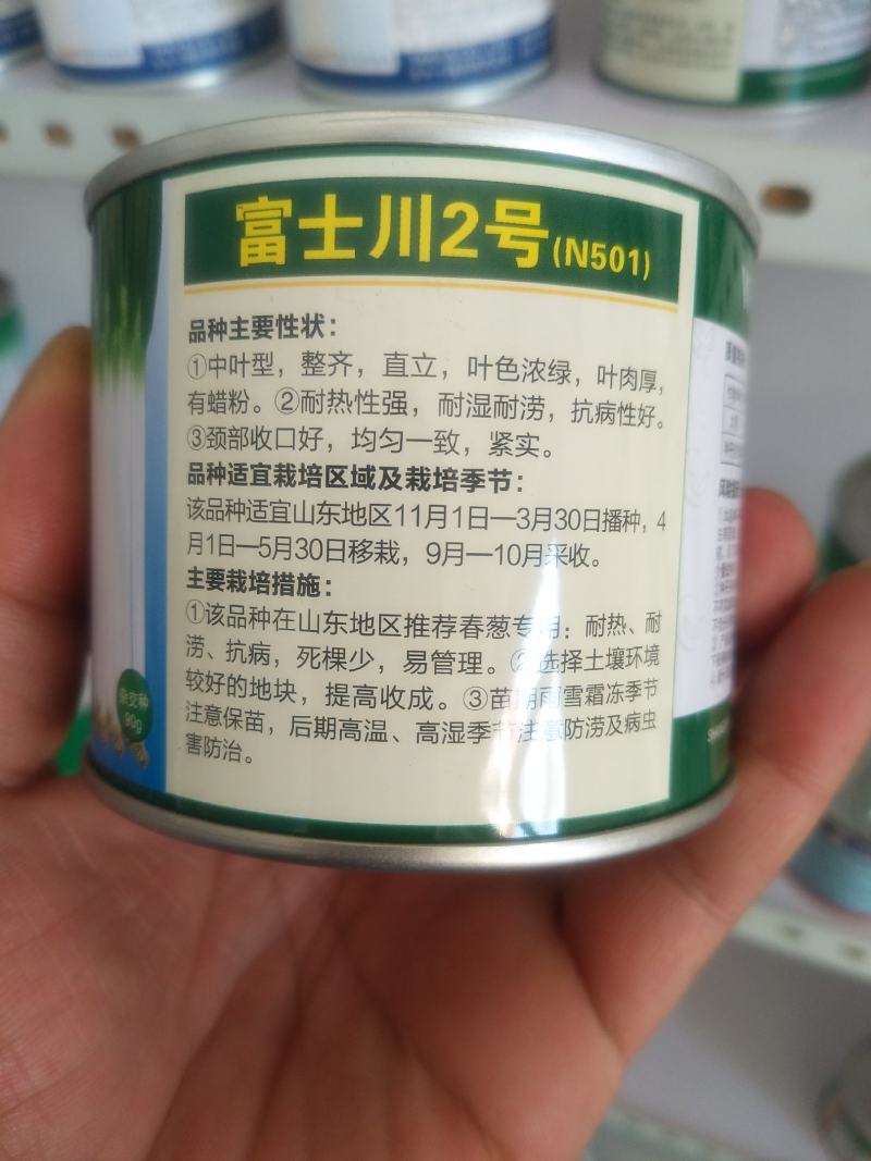 出售大葱一代二代种子！代育大葱苗，免费提供种植技术