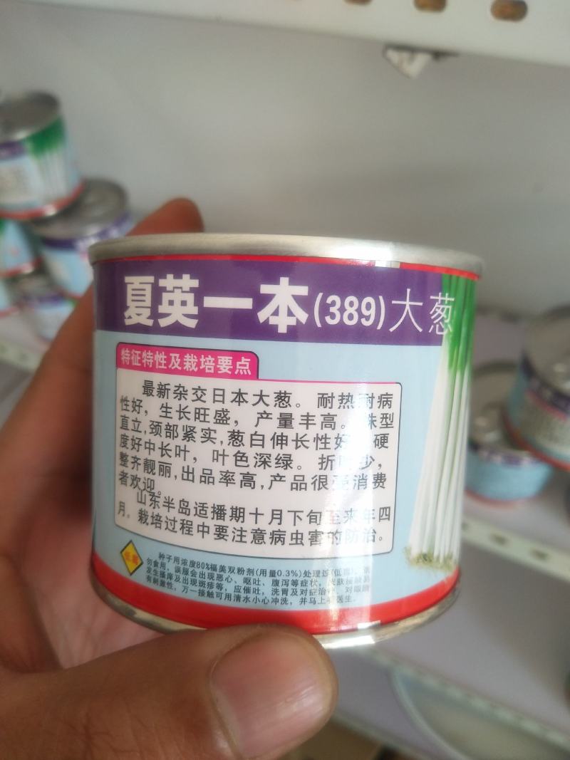 出售大葱一代二代种子！代育大葱苗，免费提供种植技术