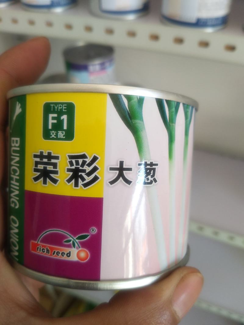 出售大葱一代二代种子！代育大葱苗，免费提供种植技术