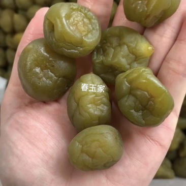 青梅Q梅酸甜可口靓货量多价优厂家直销
