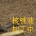 榨油核桃仁