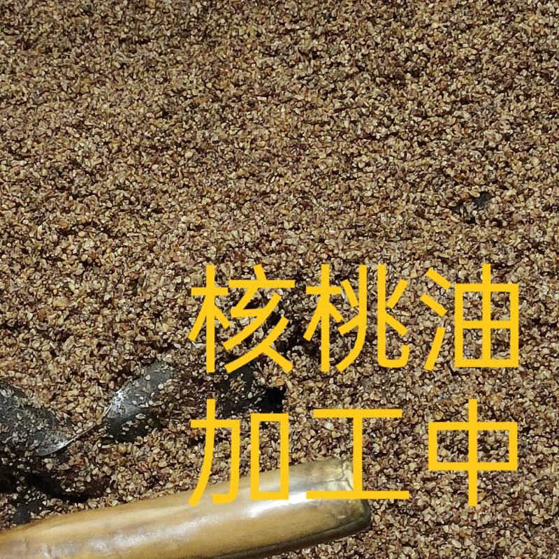 榨油核桃仁