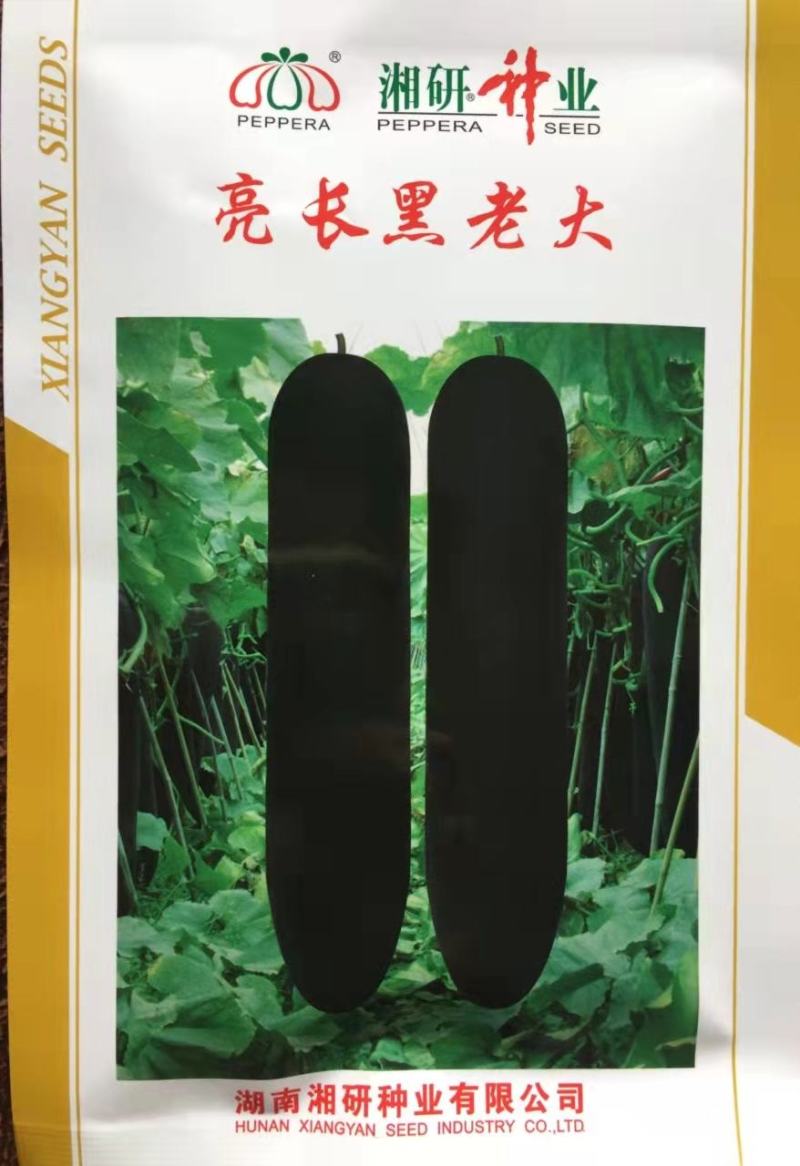 精品冬瓜种子墨地龙,墨铁龙，黑鲨,墨宝,,银狐等