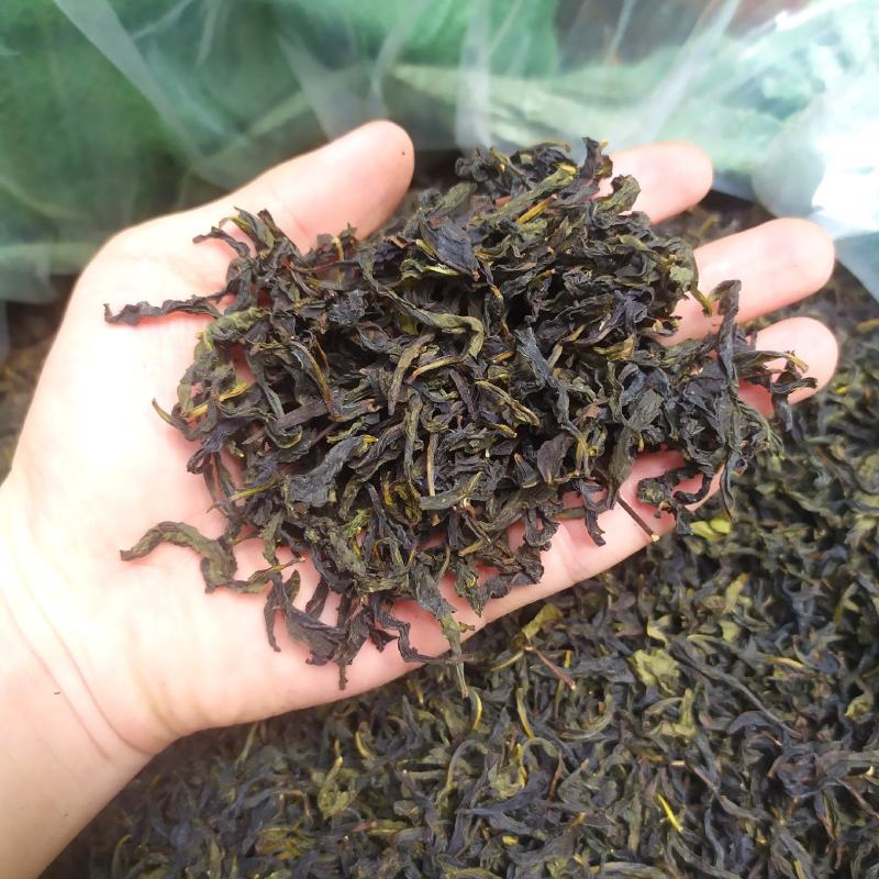 高山茶清香土山茶诏安富硒八仙茶潮汕八仙乌龙茶大坪土山茶