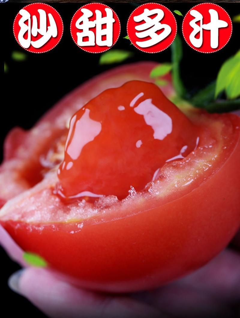 西红柿新鲜蔬菜话家小番茄孕妇水果自然熟带箱10斤装包邮