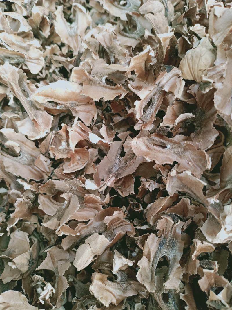 分心木，核桃隔核泡水质量保证现货供应欢迎咨询合作！