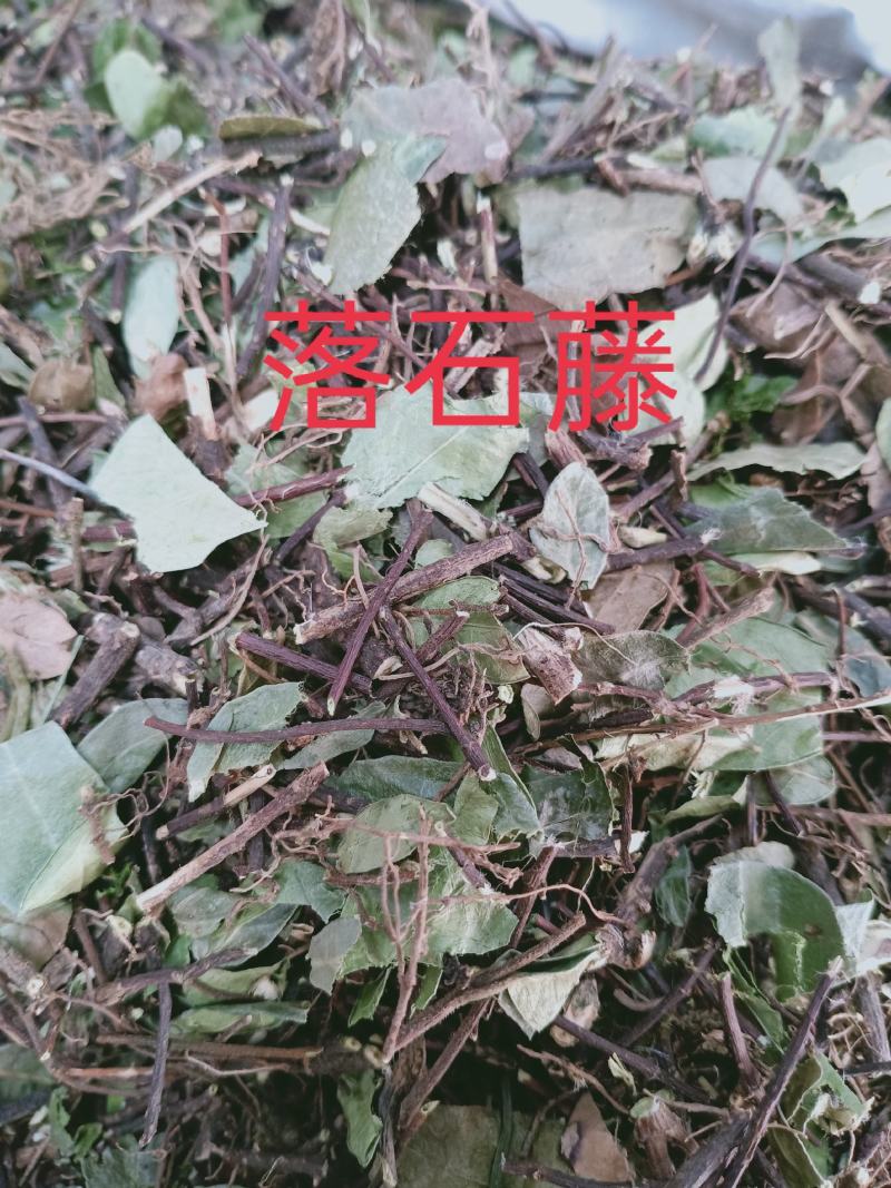 落石藤，正品野生落石藤新货质量保证，经营各种中药材！