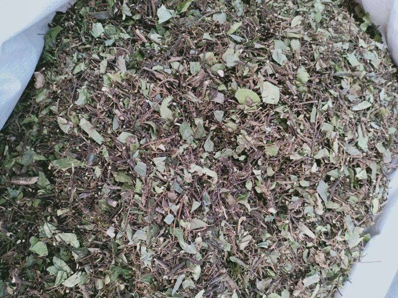 落石藤，正品野生落石藤新货质量保证，经营各种中药材！