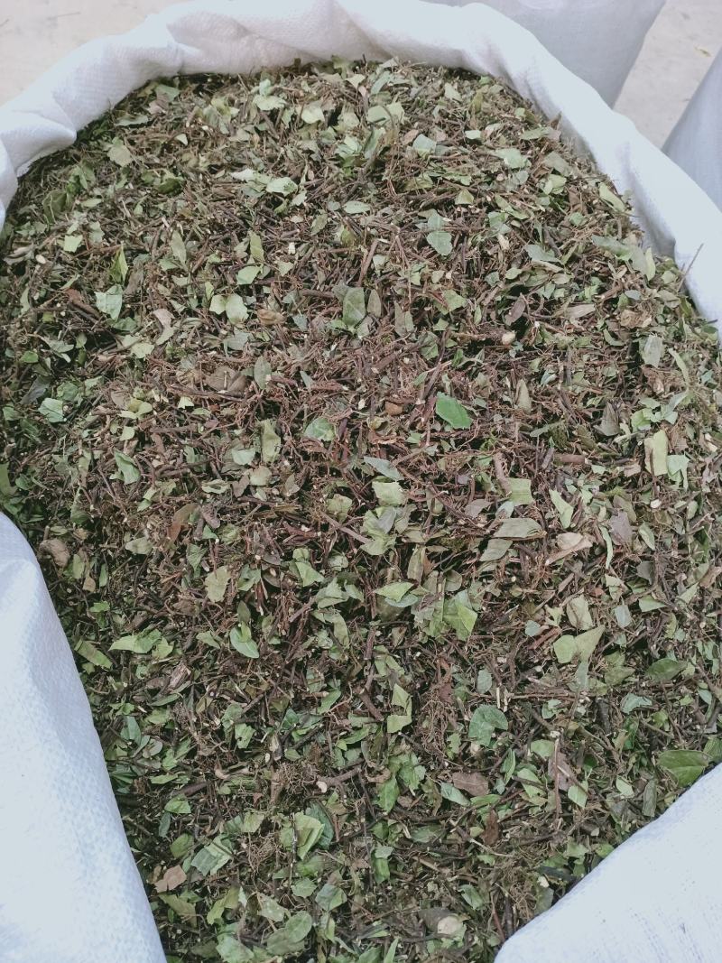落石藤，正品野生落石藤新货质量保证，经营各种中药材！